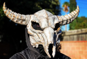 Raise3D Pro2 Plus: галерея работ