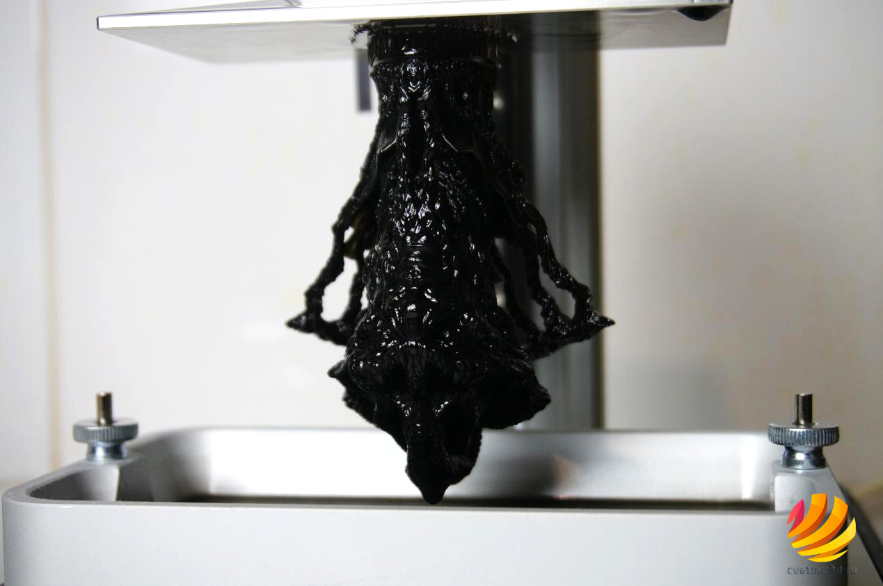 image61_obzor_3d-printer_sonic_mini_4k.jpeg image61_obzor_3d-printer_sonic_mini_4k.jpeg