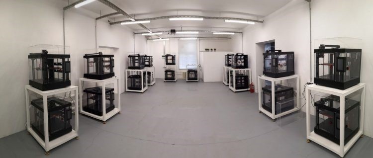 Ферма 3D-печати в компании 2050.AT Ферма 3D-печати в компании 2050.AT
