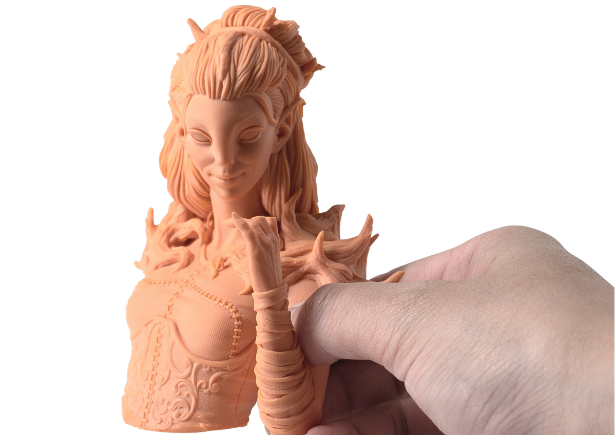 Модель из Phrozen Mud-Like Coral