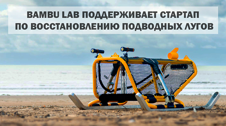 Bambu Lab поддерживает стартап по восстановлению подводных лугов