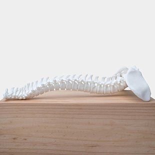 Фотополимер Phrozen Ceramic, белый (0,5 кг)