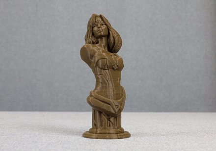 Катушка пластика Bestfilament BfBronze 1.75 мм 0,5кг., (st_bfbronze)