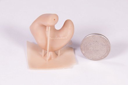 3D принтер FlashForge Hunter