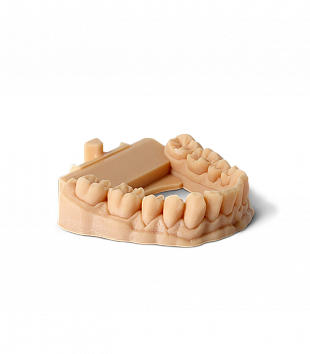 Фотополимер Phrozen Water Washable Dental Model, бежевый (1 кг)