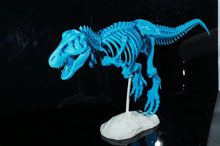 3D принтер Flashforge Dreamer