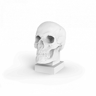 3D сканер RangeVision Pro